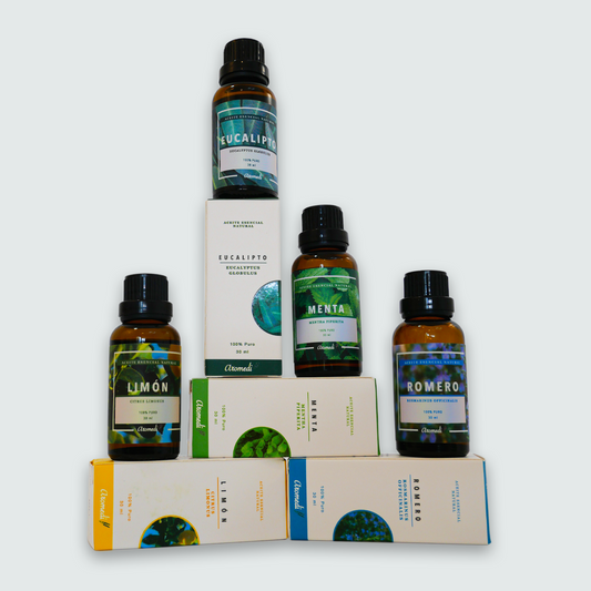 4 Grandes Maestros (Pack) - www.lavanda.cat