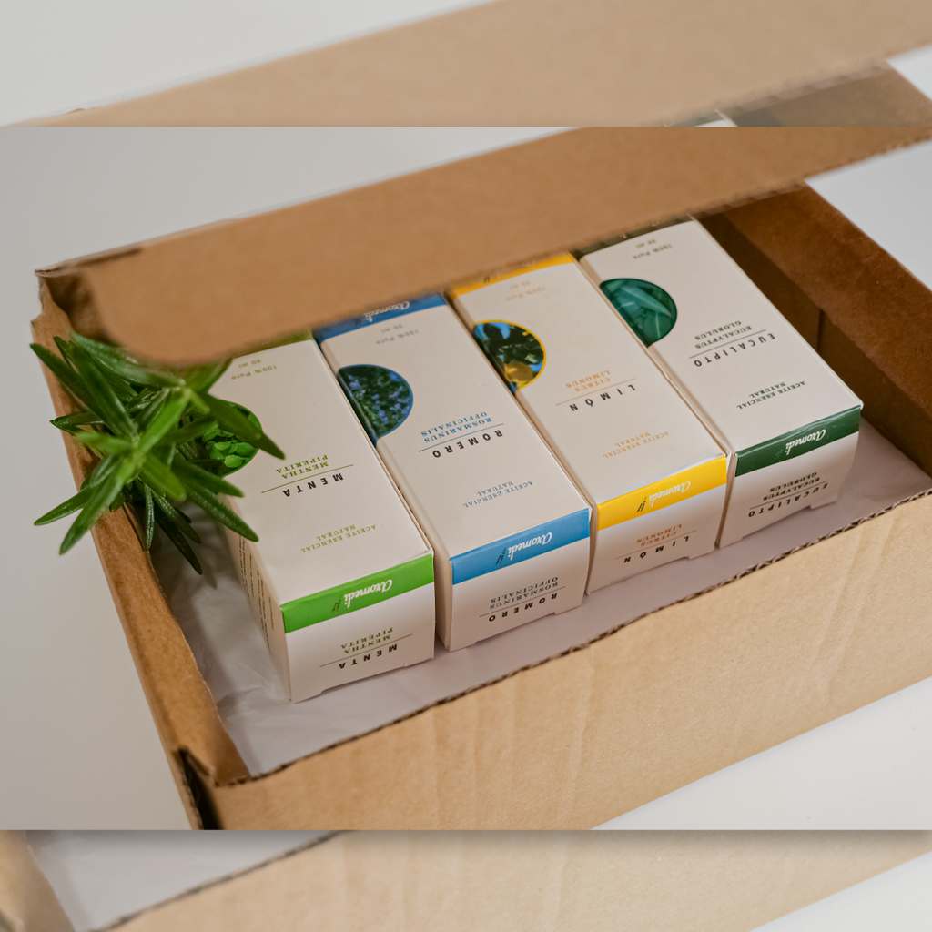 4 Grandes Maestros (Pack) - www.lavanda.cat